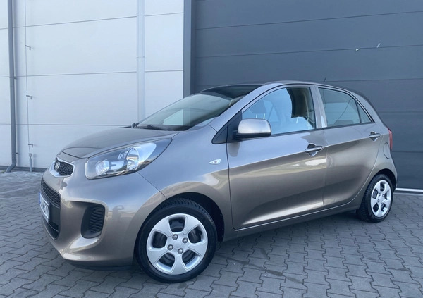 Kia Picanto cena 27950 przebieg: 130800, rok produkcji 2016 z Nowogrodziec małe 667